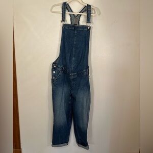 Maternity Overalls